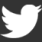 icone do Twitter